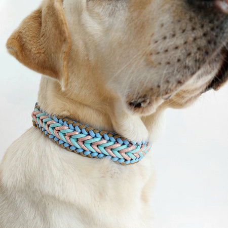 Sky Blue Braided Dog Collar - Biothane/Paracord