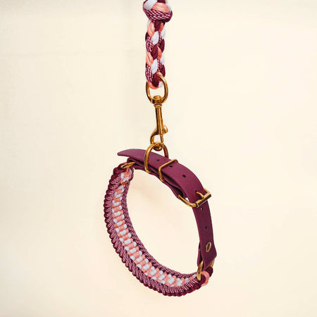 Raspberry Braided Dog Leash - Biothane/Paracord